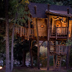 Tree House 3.jpg