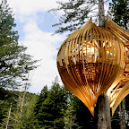 Tree House 2.jpg