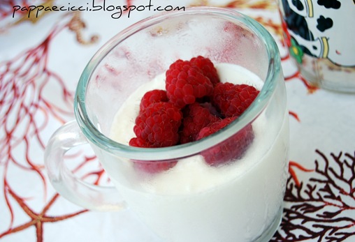 yogurt in red3