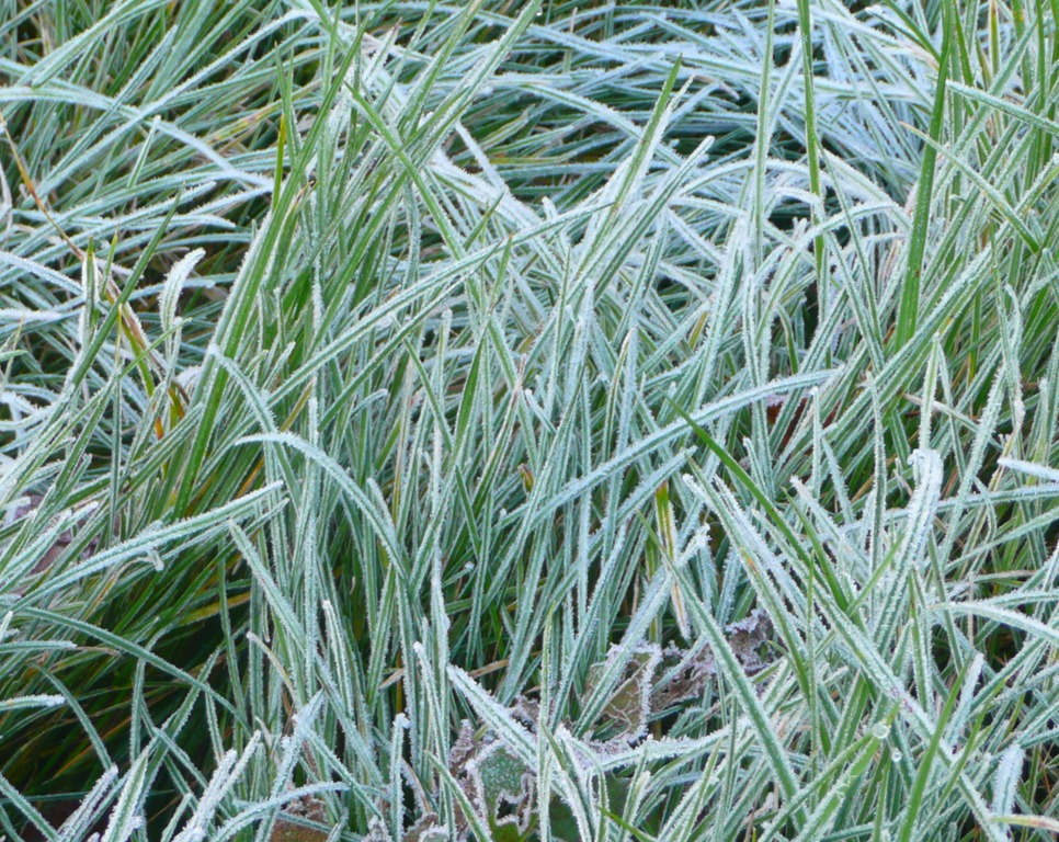 [garching morning frost 2009-10-20 001[7].jpg]