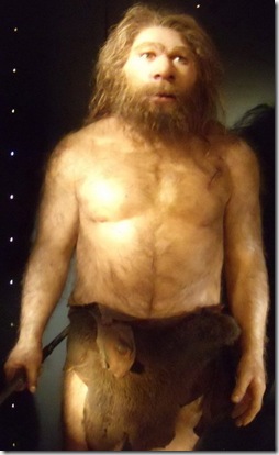 Neandertal - Museo de la Evolución Humana - Burgos