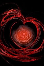 ���� ������� ��������� ���� II