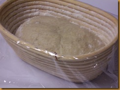 basic-savory-bread-dough 015