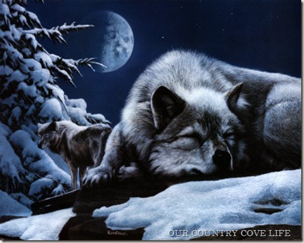 KD0804~Sleeping-Wolf-and-Lookout-Posters