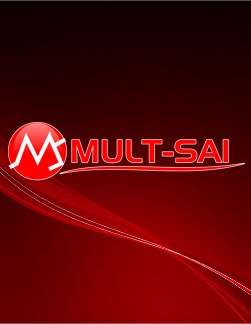 [MULT-SAI[3].jpg]