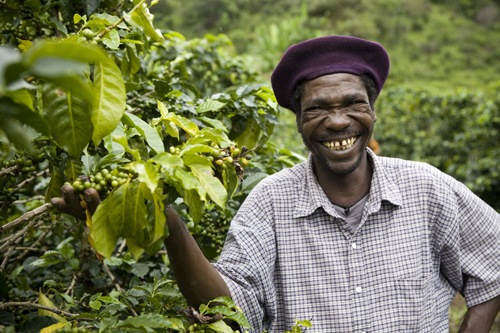 [Fairtrade_Coffee_Farmer[13].jpg]