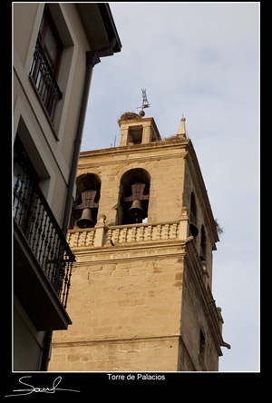 Torre de Palacios