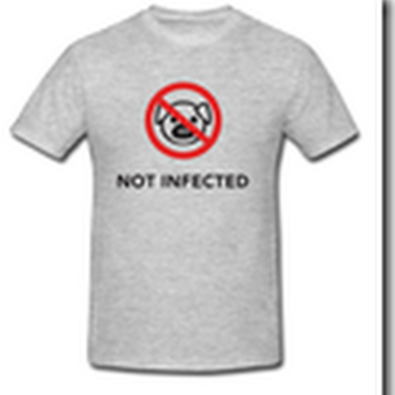 Making Money from the Swine Flu – Shirts and Games Appear on the Web