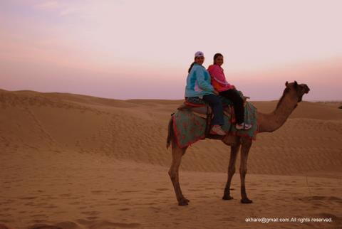 Camel Safari at SAM dunes