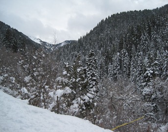 Bowmens ForkTrail 1 Bowmens Fork Trail 1
