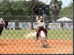 mexican dancing horses6