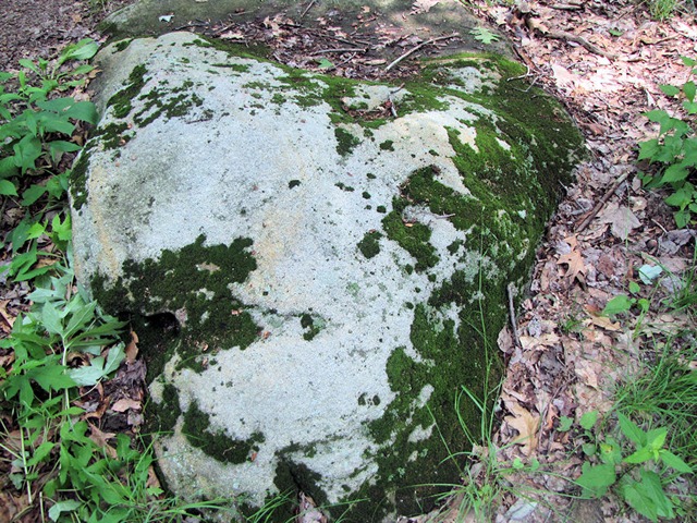 [moss colored rock[5].jpg]