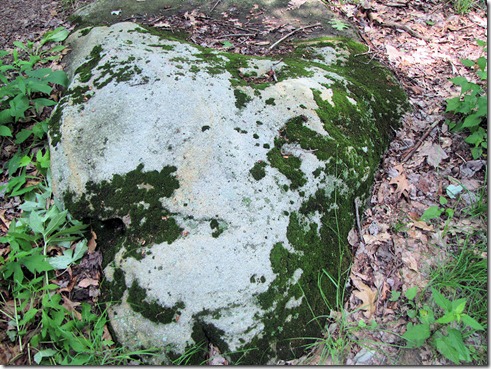 moss colored rock