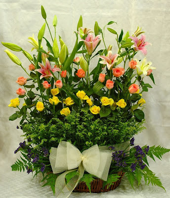 flores96.jpg