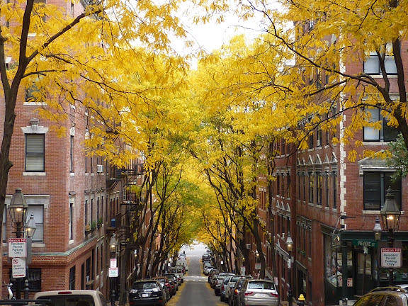 Blog de voyage-en-famille : Voyages en famille, Boston : Harvard and the Black Heritage Trail