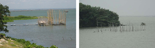 BFS catfish cages situated in Laguna Lake before (left) and after Ondoy