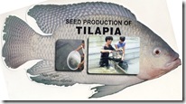 Seed Production of Tilapia