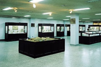 Daegu Keimyung University Dongsan Medical Center Museum