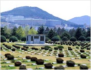 Busan UN Memorial Cemetery and Peace Park