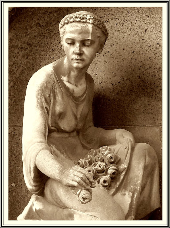 SDC19203.JPG