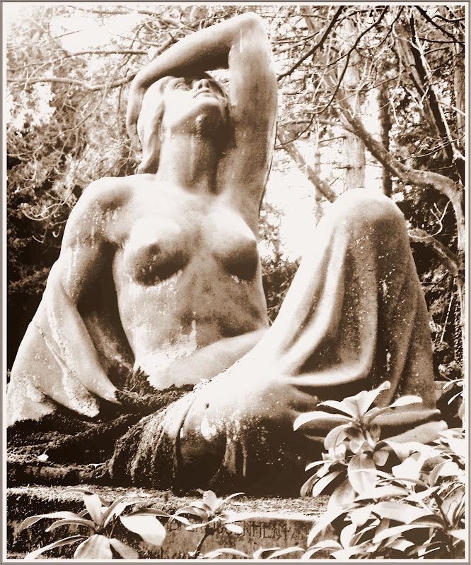 SDC19104.JPG