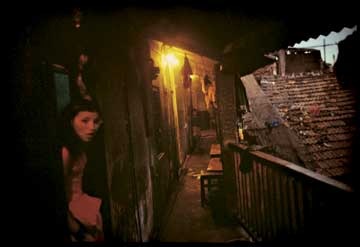[Alleyway behind Falkland Road.[3].jpg]