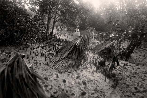 [clip_image004[3].jpg]