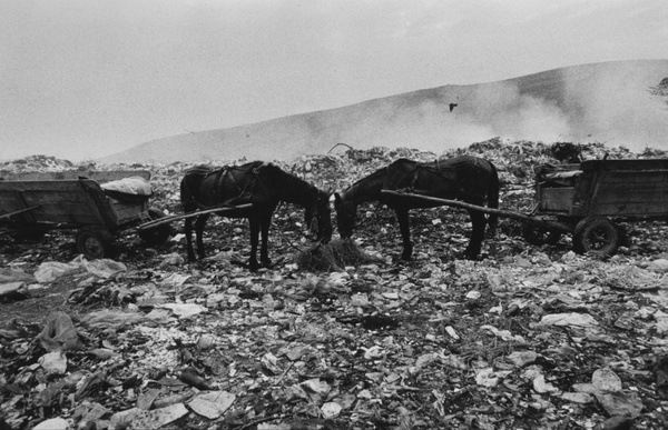 [clip_image002[4].jpg]