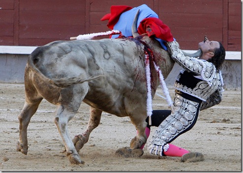 Spanish matador Julio Aparicio is gored by a bull, its horn piercing his 
