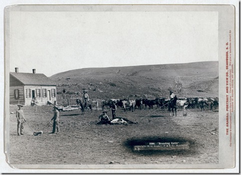 Title: "Branding cattle"
Six cowboys branding cattle in front of a house. 1891.
Repository: Library of Congress Prints and Photographs Division Washington, D.C. 20540