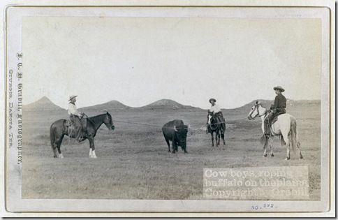 Title: Cowboys, roping a buffalo on the plains
Three cowboys on horses roping a buffalo. [between 1887 and 1892]
Repository: Library of Congress Prints and Photographs Division Washington, D.C. 20540