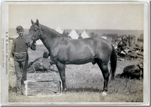 Title: "Comanche," the only survivor of the Custer Massacre, 1876. History of the horse and regimental orders of the [7]th Cavalry as to the care of "Comanche" as long as he shall live
Side view of horse and front view of a uniformed man holding its bridle. 1887.
Repository: Library of Congress Prints and Photographs Division Washington, D.C. 20540