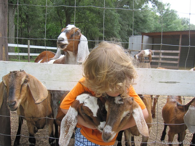 [raleigh, really, really, loves him some goat! (2)[2].jpg]