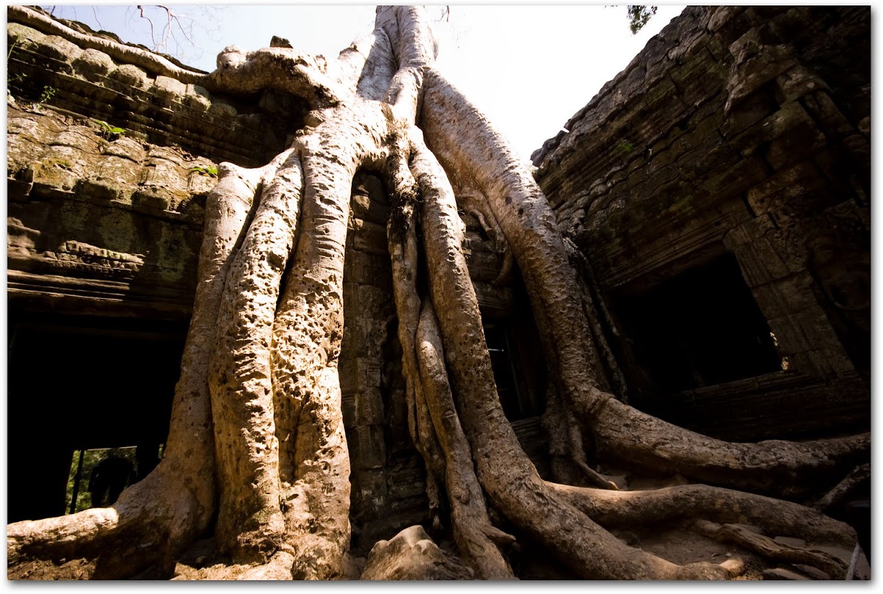 How To Avoid Temple Fatigue The Road Forks Travel And Food Blog