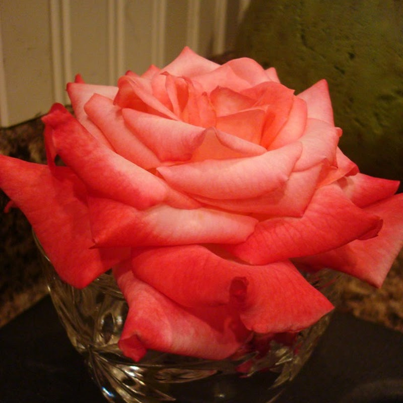 A (new!) kitchen sink