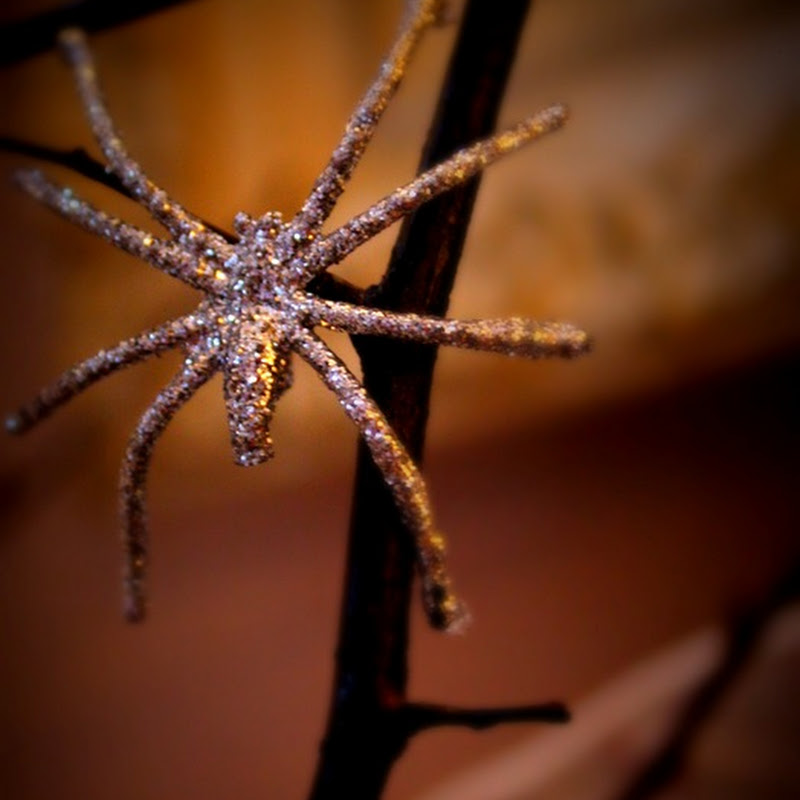 So cheap it’s scary