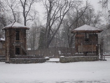 [P1010554[2].jpg]