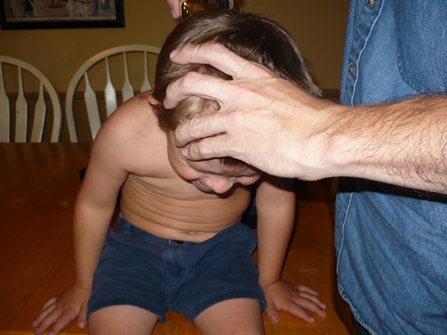 [Picture 238[2].jpg]