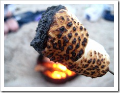 burnt marshmallows