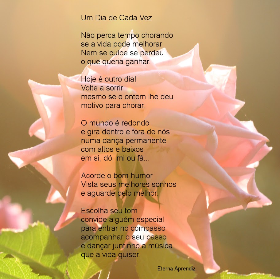 rosa-s.jpg