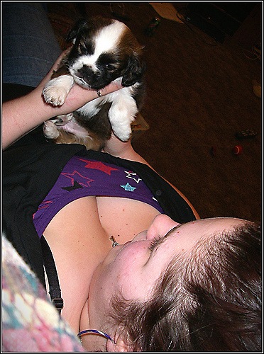 puppy_busted_staring_boobs_20100305_1870313980