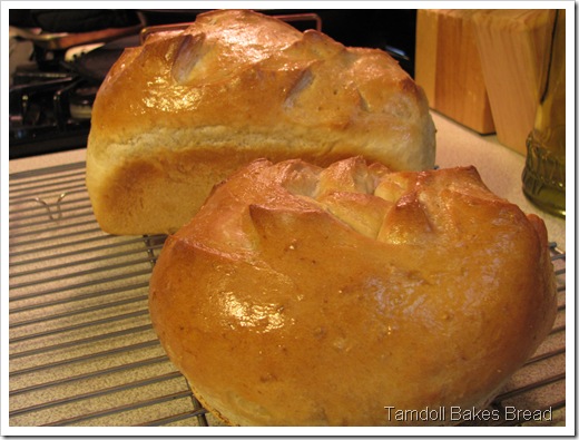 Tamdoll bakes bread