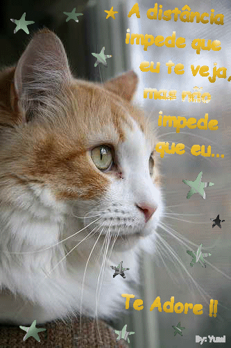 yumi...nos%20amamos%20pet.png