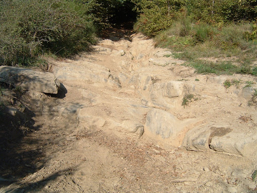 DSCF0031.JPG