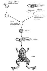clip_image010