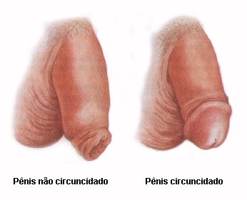 clip_image009