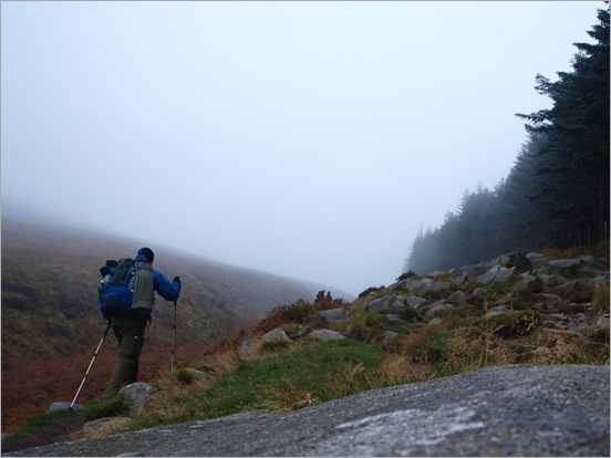 Claggy morning, leaving Donard Wood