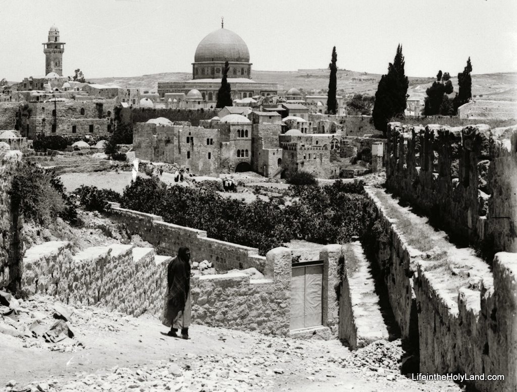 [Temple Mount and Western Wall area from southwest, mat00886[4].jpg]