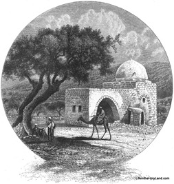 Rachel's Tomb, pp1126