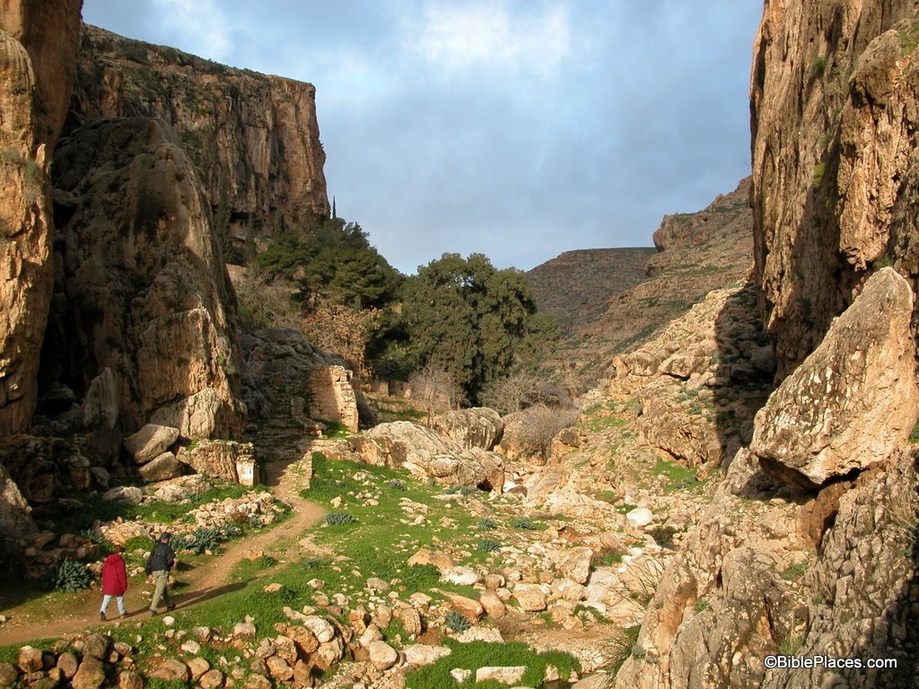 [Wadi Qilt near Ein Parat, tb020503961[4].jpg]